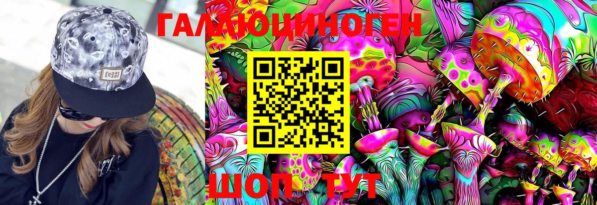 Галлюциногенные грибы MAGIC MUSHROOMS Каменка