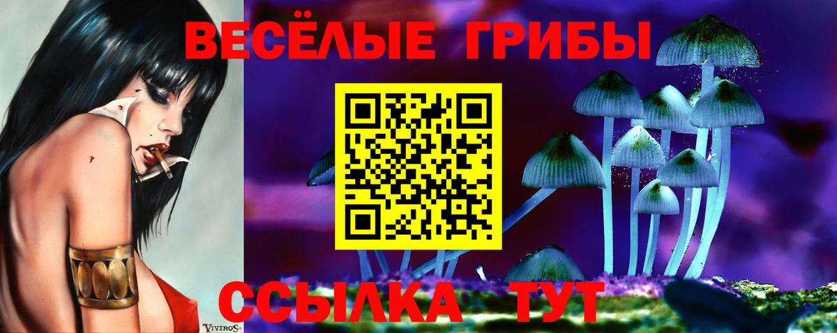 Галлюциногенные грибы Psilocybine cubensis  Вход с VPN  Псилоцибиновые грибы Magic Shrooms  Каменка 